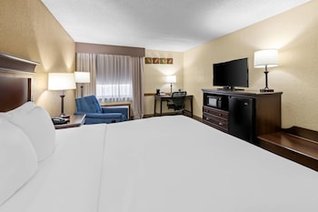 Room, 1 King Bed, Accessible, Non Smoking (Accessible Tub)