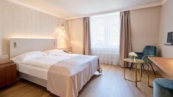 Superior Double Room with Queen Size Bed and mountain view - without balcony