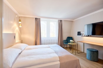Superior Double Room with Queen Size Bed and mountain view - without balcony