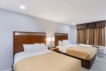 Standard Double Room, 2 Double Beds, Non Smoking