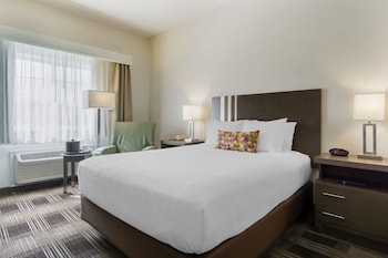 Standard Room, 1 King Bed, Non Smoking, Refrigerator & Microwave