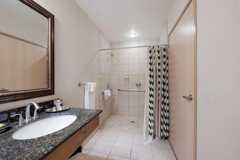 Standard Room, 1 King Bed, Accessible, Refrigerator & Microwave