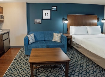 Suite, 1 Bedroom