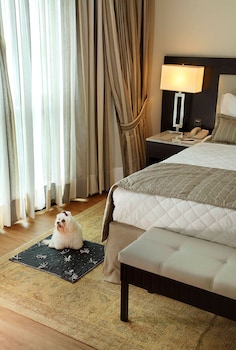 Superior Executivo com Cama Casal