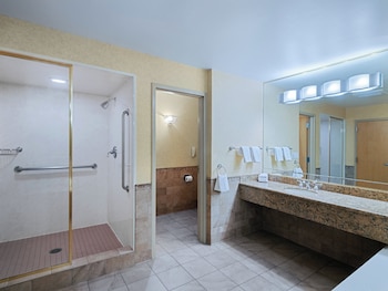 Suite, 1 King Bed with Sofa bed
