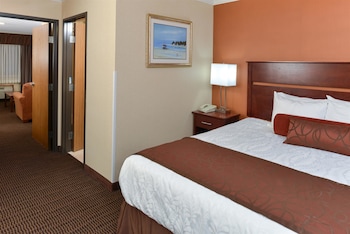 Business Suite, 1 King Bed, Non Smoking (with Sofabed)