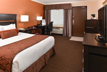 Standard Room, 1 Queen Bed, Accessible, Non Smoking (Fees apply over 2 adults)