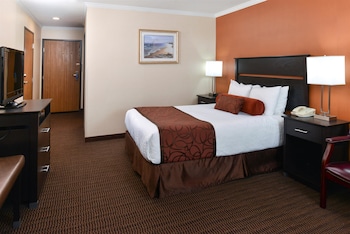 Standard Room, 1 Queen Bed, Accessible, Non Smoking (Fees apply over 2 adults)