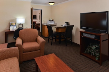 Business Suite, 1 King Bed, Non Smoking (with Sofabed)