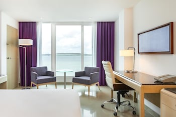 Room, 1 King Bed, Accessible (Roll-in Shower)