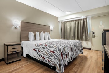 Superior Room, 1 King Bed (Smoke Free)