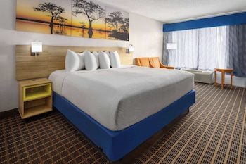 Standard Room, 1 King Bed