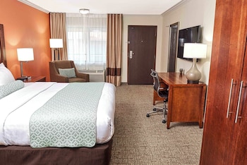 Superior Room, 1 King Bed, Non Smoking