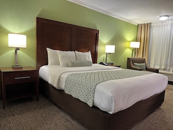 Room, 1 King Bed, Non Smoking