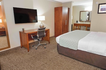 Superior Room, 1 King Bed, Non Smoking