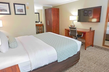 Standard Room, 1 King Bed, Accessible