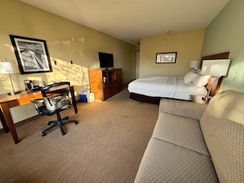 Standard Room, 1 King Bed with Sofa bed, Non Smoking