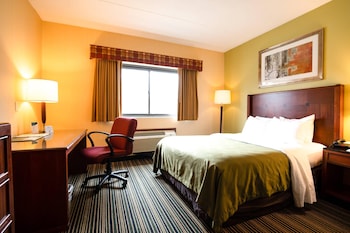 Room, 1 Queen Bed, Non Smoking