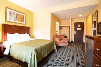 Room, 1 Queen Bed, Non Smoking