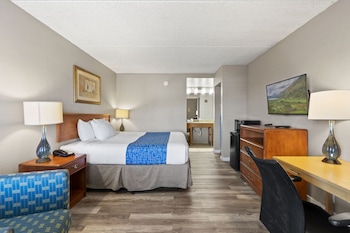 Standard Room, 1 King Bed, Non Smoking