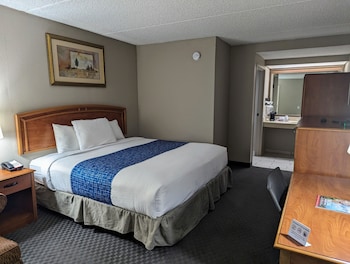 Standard Room, 1 King Bed, Non Smoking