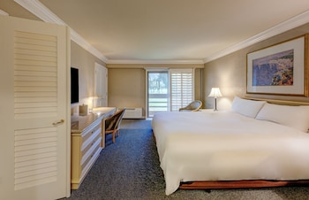 Suite, 1 King Bed