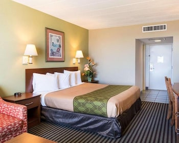 Basic Single Room