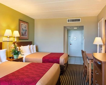 Basic Double Room