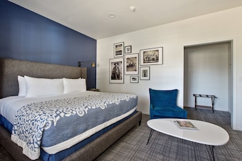 Standard Room, 1 King Bed
