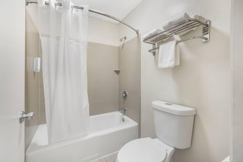 Standard Double Room, 2 Double Beds, Non Smoking