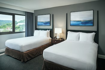 Suite, Multiple Beds