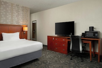 Room, 1 King Bed with Sofa bed
