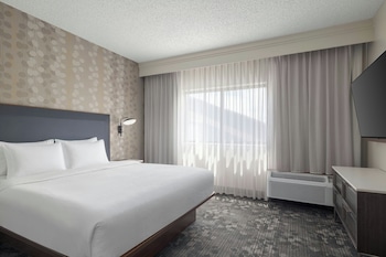 Suite, 1 King Bed with Sofa bed