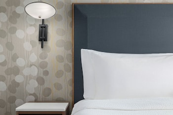 Room, 1 King Bed with Sofa bed