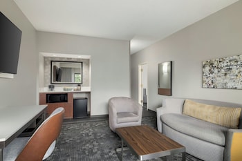 Suite, 1 King Bed with Sofa bed