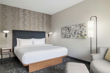 Room, 1 King Bed with Sofa bed