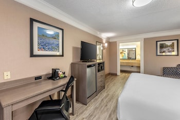 Standard Room, 1 King Bed, Non Smoking