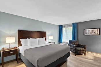 Room, 1 King Bed, Smoking