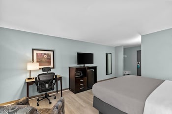 Room, 1 King Bed, Smoking
