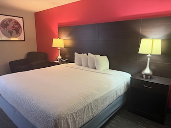 Room, 1 King Bed, Non Smoking