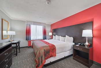 Suite, 1 King Bed, Non Smoking (One-Bedroom)