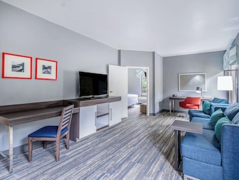 Suite, 1 King Bed with Sofa bed, Microwave