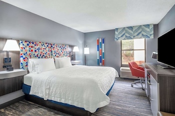 Room, 1 King Bed, Microwave