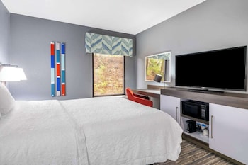 Suite, 1 King Bed with Sofa bed, Microwave