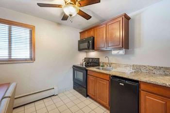 Standard Room, 1 King Bed, Non Smoking, Refrigerator (Pet Friendly)