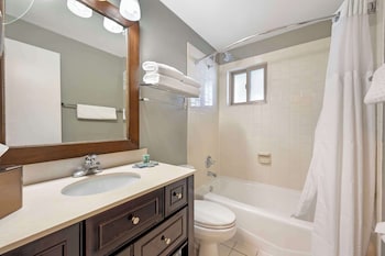 Standard Room, 1 King Bed, Non Smoking, Refrigerator (Pet Friendly)
