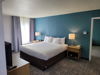 1 Bedroom Suite, 1 King Bed, Non Smoking (2 Person Sofa Bed, Upgrade)