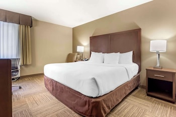 Room, 1 King Bed, Non Smoking