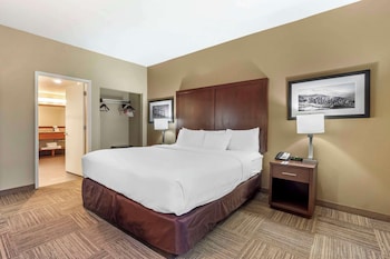Room, 1 King Bed, Non Smoking