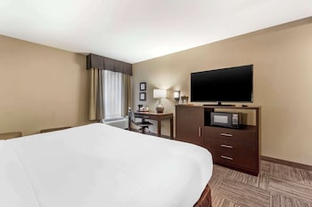 Standard Room, 1 King Bed, Non Smoking